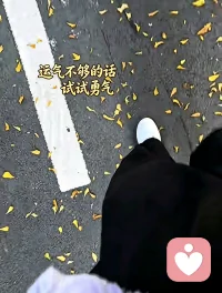 成年人的世界，各有各的难言之隐，各有各的身不由己，那些不能诉说的心事，无人共鸣的情绪，有人放在了酒里，有人放在了音乐里，有人放在深夜里…