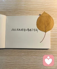 人的一切痛苦，
本质上都是对自己无能的愤怒。
实则更深一层，
人的大多数痛苦，
源于过分的执着与强求。
执着于公平，
执着于结果，
执着于付出必须对等，
执着于人心必须善良。
越是较真，越是内耗，
越是执念深重，
越是寸步难行。
一念放下，万般自在。
放过自己，
不是认输妥协，
而是与生活和解，
与执念和解，
与自己和解。