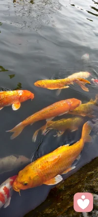 风景在窗外，故事在心底，今天的我也准备好啦。随时等待，接住你的不开心。😆😆😆
