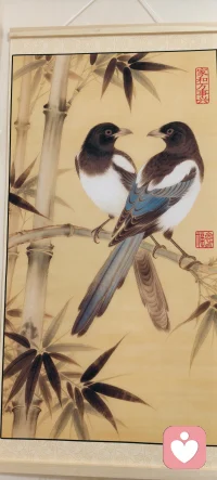 走过六十载春秋，听过太多悲欢，真正的倾听不是给答案，而是陪你把心里的结慢慢松开，无论你的故事多复杂，在这里，都被允许，也被理解，一一用岁月沉淀的耐心，陪你走一段路。配图
