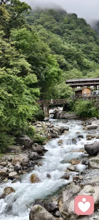 走过六十载春秋，听过太多悲欢，真正的倾听不是给答案，而是陪你把心里的结慢慢松开，无论你的故事多复杂，在这里，都被允许，也被理解，一一用岁月沉淀的耐心，陪你走一段路。配图