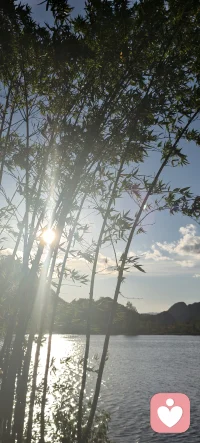 把心事交给微风和湖水，在这片山水间，我愿做你安全的树洞，陪你一起等天晴！！！配图