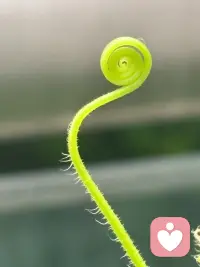 感悟分享💞

今天聊天，对面的人说：
现在的生活没有盼头，不知道活着，还有什么意义…
其实，特别能理解这种感受～
我以前也有类似的发问，执着寻找活着的意义～

我觉得，当人开始有这样的灵魂发问，
这是好事，这是清醒的开始，
因为你在面对，你作为生命个体的感受和声音…
那种被生活的湮没感，窒息感，让你想去冲破它，
这种是束缚，也是人生重启的动力～

只有当你走过这段路，会发现：
不必过度追求人生的“意义”
​因为意义，是种定义～
不管是有意义还是无意义，
它都是一种存在​。
存在本身，就是最大的意义～