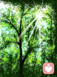 青春就像冬日到来时留不住的一抹绿；爱情就像是寒冷冬天里射进你心里的一抹阳光。青春要奔放！爱情要保温！
