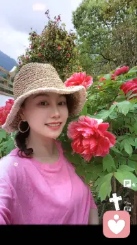  “成长的终点，是接纳命运的温柔。”  那些曾以为无法跨越的山，早已在岁月中化作阶梯；而遗憾，不过是常态。放下执念，专注每一步踏实的行走，便是对生命最深刻的温柔