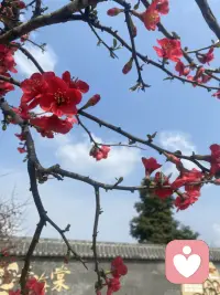懂你的欲言又止，接纳你的所有情绪，做你随时可以停靠的情绪港湾❤️