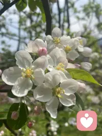 情绪有出口，心事有归宿。愿我们都能与自己和解，卸下所有疲惫，轻松奔赴往后的生活🌼