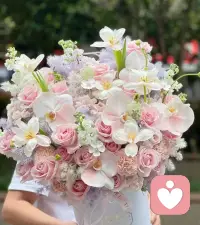 治愈从来不是强行开心，而是有人读懂你的疲惫，安抚你的不安。好好爱自己，才是终身浪漫的开始🌷