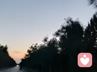 真的心里堵得慌，特别委屈又无力。
明明我已经很懂事、很迁就了，从来没奢求过父母多理解我、多偏爱我一点，就只想安安稳稳做自己，不被指责、不被随便否定就够了。
可在他们眼里，我好像永远都不够好。不管我做什么，换来的从来不是鼓励，只有打压、嫌弃、挑刺。从来不会看见我的委屈，不会心疼我的难处，只会一味索取、一味要求，习惯性精神压榨，把所有负面情绪都丢给我，从来不在乎我能不能承受。
有时候真的特别心寒，也特别失望。别人的家是避风港，可我的原生家庭，却是困住我的牢笼。我不敢撒娇，不敢示弱，不敢说出自己的想法，怕被反驳、被嘲讽、被骂不懂事。
心里积攒了好多委屈，没人能懂，也没人可以倾诉。一边舍不得血缘亲情，一边又被一次次伤得透透的，想逃离又逃不开，想释怀又根本放不下那些难过。 
经常半夜偷偷难受，觉得自己活得好压抑，好像生来就要迁就所有人、懂事所有人，却从来没有人来迁就我、心疼我。真的好累，累到不想争辩，不想解释，只想安安静静躲起来，不用再面对他们的打压和无休止的索取。配图