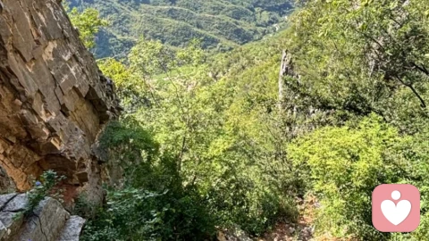 韩沛颖30秒直播事故
