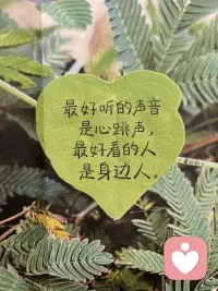 爱不是一种感觉，而是一种决定。配图