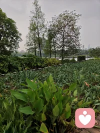 风景如画，今天你出去走走了吗配图