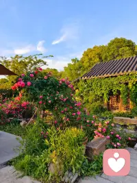 第一天入驻当倾听师，我愿通过倾听给有缘的你提供无条件的关注和支持。