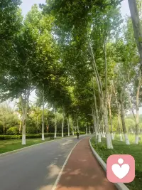 早安，祝您今日心平[玫瑰]

现在有很多知识来源于统计学，是通过数据推出来的，它是现象，不是本质。

但人们常把这些现象直接和自身结合，这时就容易产生错觉。比如当电视节目里介绍了吃某种东西会得病时，很多人就不敢再吃了。其实这是知识障碍，知识错觉，在你没有新知识、新经验时，不妨遵守它。但如果对知识的遵守变成一种恐惧，那就成病态了。

“吃了会得病”这个逻辑本身，比你真的吃了的那些东西对身体的伤害还大。为什么？因为你对这种食物的不平心理存的信号，比食物本身调来的信号还多。

人在认识世界时，要尽量与自然调和，而不是与知识调和。