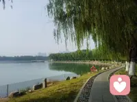 善于自我调节，控制负面情绪增长。马克思说：一种美好心情，比千副良药更能解除心狸上疲备和痛楚。”忧愁、动怒和悲观失落的负面情绪可以使人致病。积极、愉快、坚强意志和乐观的正面情绪可以战胜疾病，而使人健康长寿。因此，应擅于白我调节，保持坦然和开朗的心境。