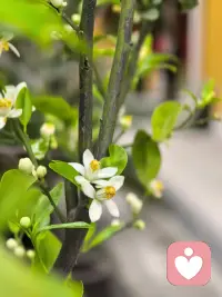 生活在这个世界上，我们反感、较劲的东西越多，我们的病和不顺就越多。在我们的日常生活中，包括吃饭、喝水、睡觉等最平常的事情，道理都是一样，都要掌握状态、火候，或者简单说就是不较劲。配图