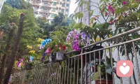 “新人报道！没什么大道理，只有热茶和耐心。心里苦了累了？随时来找我呀。”配图