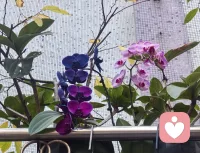 “新人报道！没什么大道理，只有热茶和耐心。心里苦了累了？随时来找我呀。”配图