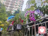 “新人报道！没什么大道理，只有热茶和耐心。心里苦了累了？随时来找我呀。”配图