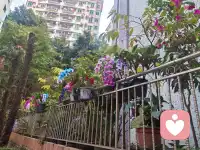 “新人报道！没什么大道理，只有热茶和耐心。心里苦了累了？随时来找我呀。”配图