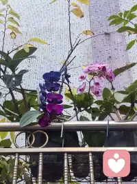 “新人报道！没什么大道理，只有热茶和耐心。心里苦了累了？随时来找我呀。”配图