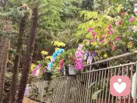 “新人报道！没什么大道理，只有热茶和耐心。心里苦了累了？随时来找我呀。”配图