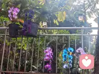 “新人报道！没什么大道理，只有热茶和耐心。心里苦了累了？随时来找我呀。”配图