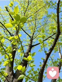 人生本就是一场慢慢自愈的旅程，不必勉强迎合，不必委屈讨好。
所有情绪都值得被温柔安放，所有心事都可以放心倾诉，
我在这里，安静倾听，温柔陪伴，陪你和生活和解🌿配图