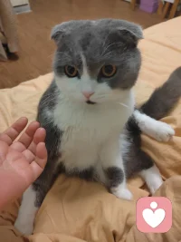 生活的治愈感，从来都藏在细碎小事里。
给猫咪洗去一身浮躁，梳理掉杂乱的情绪；
给绿植修剪枝叶，规整内心的纷乱思绪。
在打理与安放中，安抚焦虑，松弛自我，
平凡的日常，也在温柔里慢慢自愈🌿