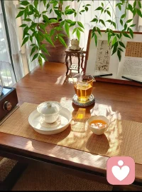 生活的治愈感，从来都藏在细碎小事里。
给猫咪洗去一身浮躁，梳理掉杂乱的情绪；
给绿植修剪枝叶，规整内心的纷乱思绪。
在打理与安放中，安抚焦虑，松弛自我，
平凡的日常，也在温柔里慢慢自愈🌿
