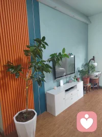 生活的治愈感，从来都藏在细碎小事里。
给猫咪洗去一身浮躁，梳理掉杂乱的情绪；
给绿植修剪枝叶，规整内心的纷乱思绪。
在打理与安放中，安抚焦虑，松弛自我，
平凡的日常，也在温柔里慢慢自愈🌿