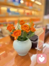 茶里藏着的…
不止是四季   还有惬意时光😁配图