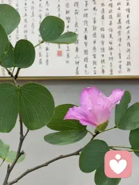 你相不相信：
你帮过的人不一定会帮你，但帮过你的人还会再帮助你，结有道之有、断无情之人……配图