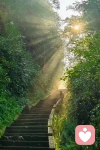 一路向阳💥唤醒身体，开启元气满满的一天🏃‍♀️配图