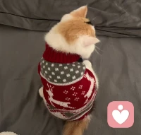 回家多晚你都等着我～～😙