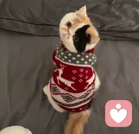 回家多晚你都等着我～～😙