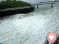 不执着于只做“好人”
也不抗拒自己的“棱角”
外界需要温和明亮
我便向阳而生

世事需要锋芒底线
我便以阴守心

阴阳随心切换
却不被任何一面定义
我即是道
我即是平衡
万事万物
皆可从容应对配图