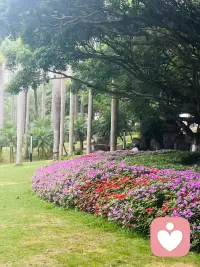1清晨唤醒身体，汗水治愈疲惫，
日复一日，遇见更好的自己🌤️配图