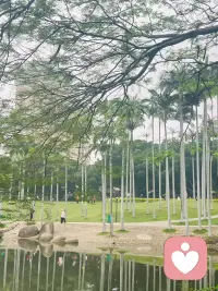 1清晨唤醒身体，汗水治愈疲惫，
日复一日，遇见更好的自己🌤️配图