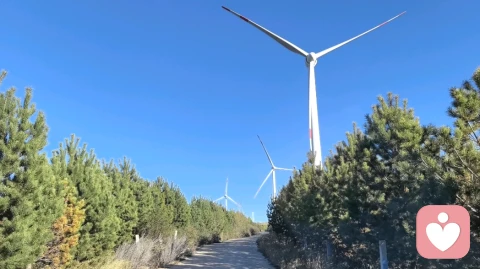 所有的山穷水尽都藏着峰回路转