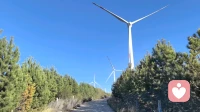 所有的山穷水尽都藏着峰回路转