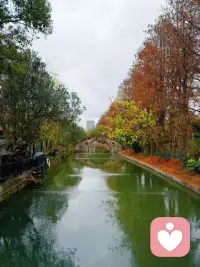 学会稳住自己的情绪，既是尊重别人，也是保护自己，没有期待便不会有失望，少一点盼望就少一点遗憾，有时候适当的退一步，既成全了别人，也放过了自己，所谓顺其自然，大多是别无选择，人生真的会在某一瞬间一把火烧了心中所有的执念，一旦放下，便什么都不重要。
