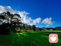 永远要相信自己是一个非常幸运自带福气的人，是一个健康的人，更是一个懂得知足的人，你很好，你值得一切美好，记住，信念比看见更重要，你相信什么就会吸引什么，你坚持什么，最后就会成为什么，所以请时常告诉自己，我很好，未来的我一定会更好