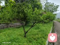 给力心理平台接地气，右温暖，是值得信赖，可以让我们跟随，助力更多的人走进自己的心里配图