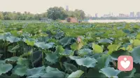 焦虑的根源是个体穷思竭虑并未好好没活在当下。
减少焦虑的方法：专注于当下时刻。配图