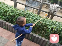你此刻的童心，分享你的美好，但是它需要的不单单只有你手中的食物