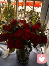 治愈从来不是强行开导
而是有人懂你的欲言又止，接纳你的万般情绪配图