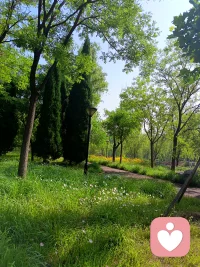 用心倾听，从不打断 从不说教，也不会试图改变任何人。你在我这里是安全的，我不会和任何人说你的事情。我会一直陪伴你，我一直都在配图