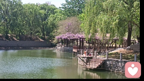 亲子互动的建议与评判分享