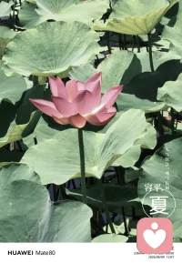 中医说心主神明，不是心脏是心神。
心神乱了
失眠 烦躁 坐立不安
不是想太多
实心需要安顿
偶尔安静坐立片刻
心定了就安静了配图
